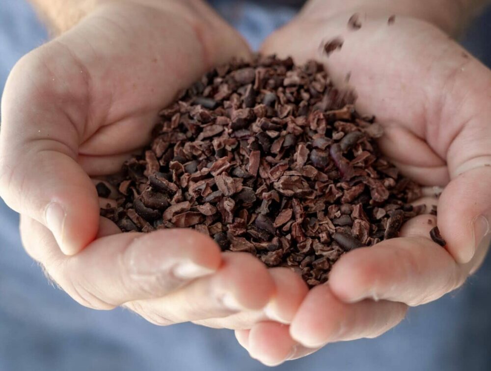 Nibs de cacau: A combinação perfeita para a sua saúde!