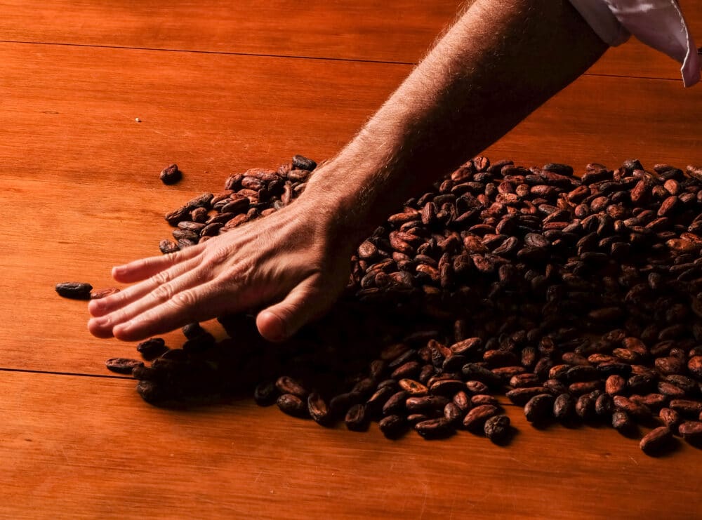 Bean-to-bar: O cuidado e a valorização do chocolate artesanal.