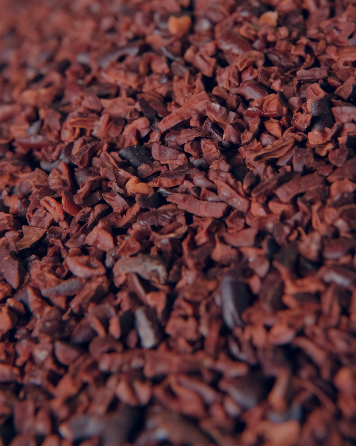 Nibs de cacau orgânico Maré Puro